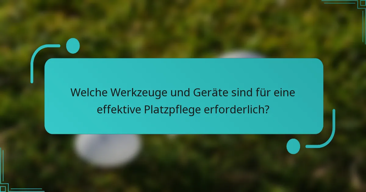 Welche Werkzeuge und Geräte sind für eine effektive Platzpflege erforderlich?